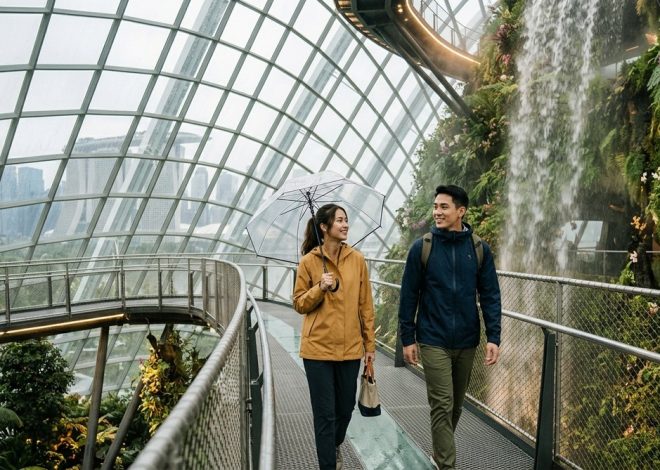 How to Spend a Perfect Rainy Day in Singapore: Indoor Activities Worth Your Time
